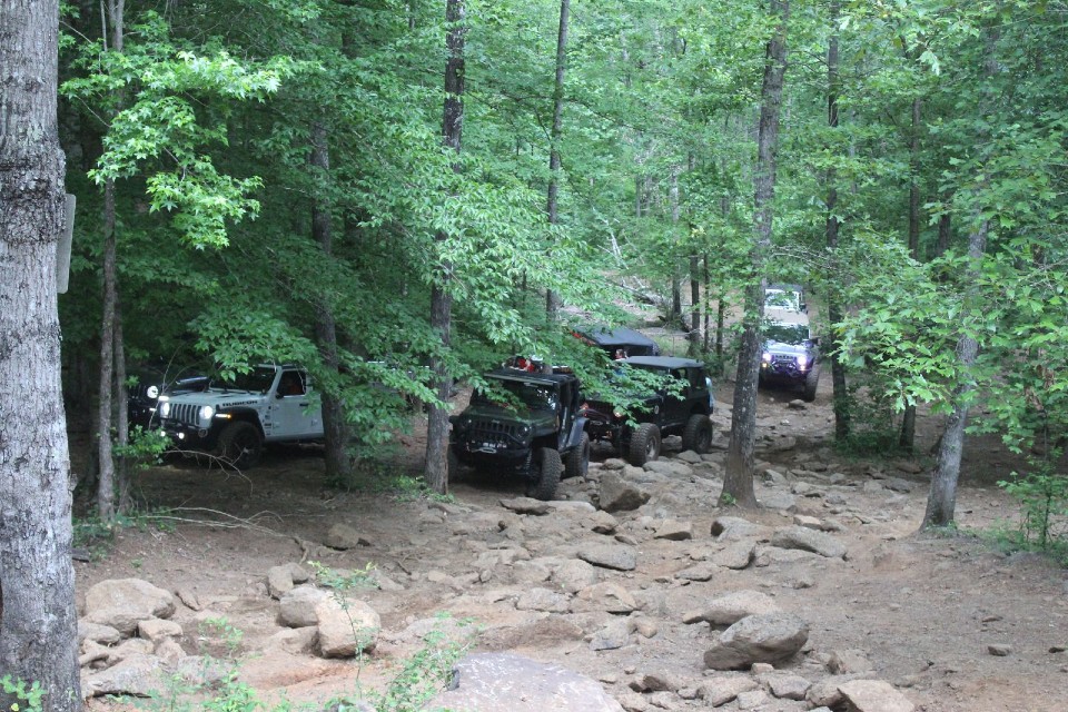 Group of Jeeps on a trail